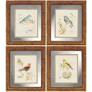  Songbirds 20 High 17 Wide Set of 4 Framed Wall Art: Home 