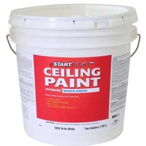 PSE 2GAL WHT Ceil Paint:  Home Improvement