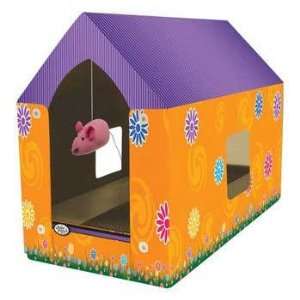  Cat Scratching Play House