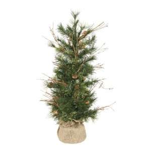  Set of 6 30 Mixed Country Pine Tree 119 Tips: Home 
