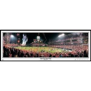 Anaheim Angels 2002 World Series Champs Panoramic Everlasting Images 