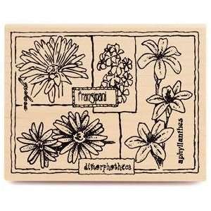  Floral Montage Wood Mounted Rubber Stamp: Arts, Crafts 