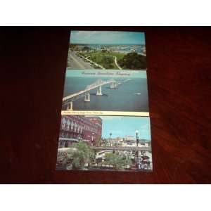 Post Cards of Tampa Bay: Ebor City, the Famous Sunshine Skyway Bridge 
