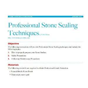    Professional Stone Sealing Techniques Torin A. Dixon Books