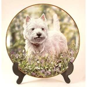  Danbury Mint Westies plate   The Bluebell Trail   by Paul 