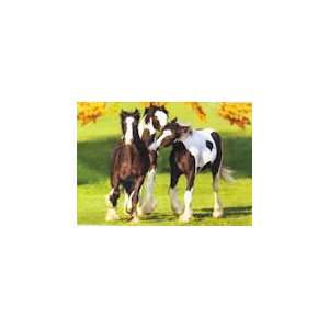  The Yearlings   500 Pieces Jigsaw Puzzle Toys & Games
