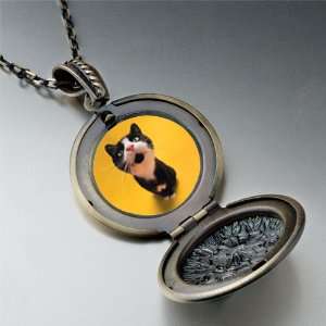  Cat Yawning Photo Locket Pendant Necklace: Pugster 