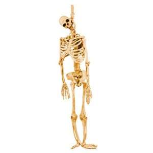  Skeleton Latex Full Body: Home & Kitchen