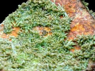 rare green PYROMORPHITE crystal specimen  