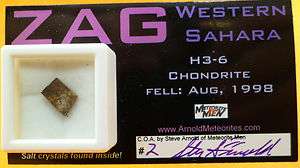 Zag, Western Sahara H3 6 Magnet Meteorite Men FALL Numbered & Signed 