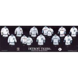  5x15 MLB Detroit Tigers Plaque: Sports & Outdoors