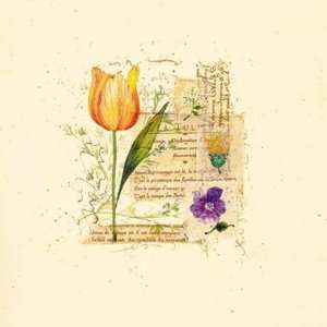 Flower Notes with Orange Tulip by Audra Chaitram 16x16  