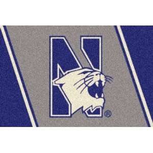    NCAA Team Spirit Rug   Northwestern Wildcats: Sports & Outdoors