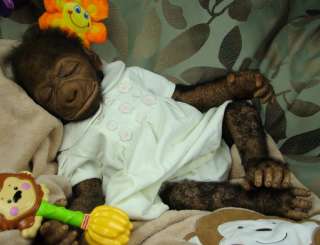 Reborn Baby Gorilla Kit, Kiki, Sculpted By Sharon Azzinnaro, Only 100 