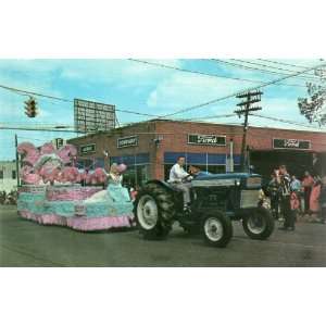   Float, #100381, Scenic South Card Co. Bessemer, Ala 