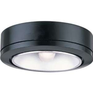  Sea Gull 9890 12 Ceiling Light