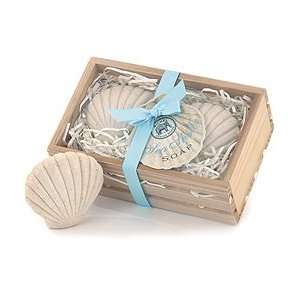   Breeze Sea Shell Shaped Soaps In Wooden Crate: Health & Personal Care