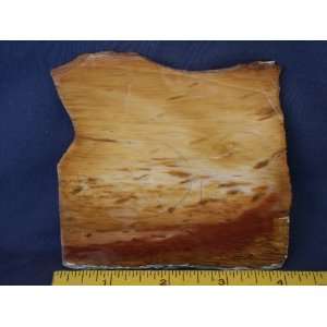   Very Rare Louisiana Petrified Palm Wood Slab, 7.24.19: Everything Else