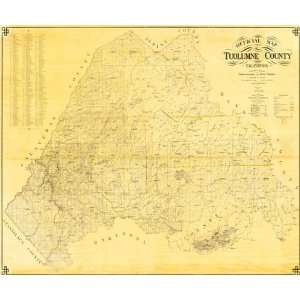  TUOLUMNE COUNTY CALIFORNIA (CA) LANDOWNER MAP 1907