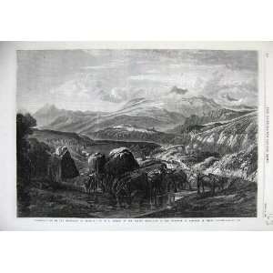   1868 Mountain View Highlands Braemar Cattle Cows Art: Home & Kitchen