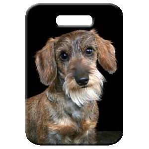  Set of 2 Dachshund   Wirehaired Luggage Tags: Everything 