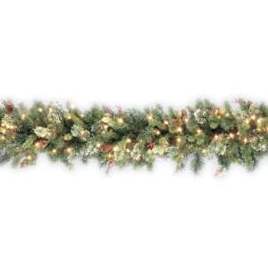  National Tree Company   9 x 12 Wintry Pine Garland with 