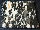 Zebra Jasper slab, ready for cabbing or such items in Blue Mountain 