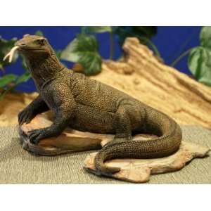  Country Artists, Endangered Species, Komodo Dragon 04947 