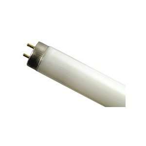   Fluorescent Bulb Cool White   Westinghouse 37323: Home Improvement