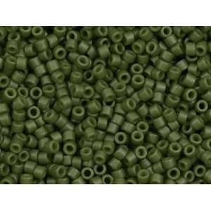    8g Opaque Matte Asparagus Delica Seed Beads Arts, Crafts & Sewing