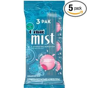 Orbit Mist Watermelon Spring, 3   Fourteen Piece Packages (Pack of 5 