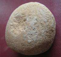 AMERICAN INDIAN NUTTING STONE from ARKANSAS 7225  