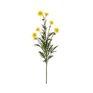   Coreopsis Tickseed Flower Spray  Yellow (case of 12): Home & Kitchen