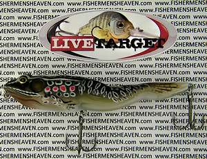   LIVE TARGET Lures Topwater   WALKING FROG   FGW105T503   BLACK   SMALL