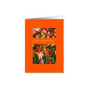  orange mixed tulips dutch birthday greeting Card: Health 