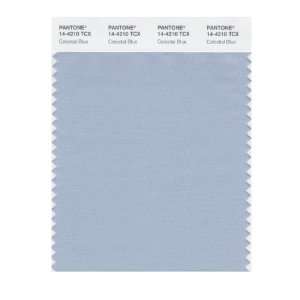   SMART 14 4210X Color Swatch Card, Celestial Blue: Home Improvement