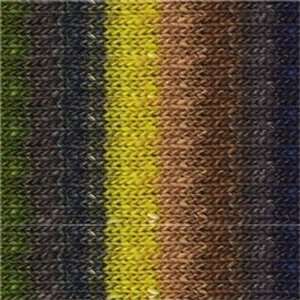  Noro Silk Garden [Yellow, Gray, Brown, Olive ]: Everything 