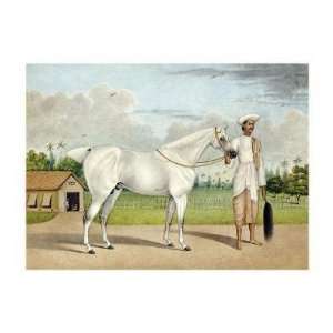  Shaikh Muhammad Amir   A Small White Stallion Giclee