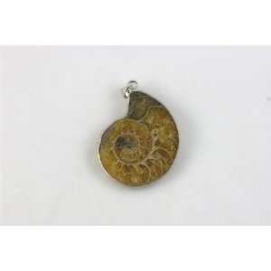  Ammonite Fossil Pendant 30x40mm [Sliced] (1155) Arts 