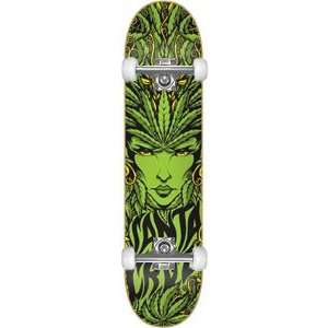  Santa Cruz Weed Goddess Lg Complete Skateboard   8.25 w 