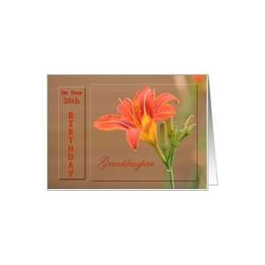   Granddaughter ~ Age Specific 38th ~ Orange Day Lily Card Toys & Games