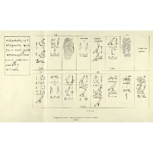  1906 Photolithograph Ancient Egypt Hieroglyphics Bird 