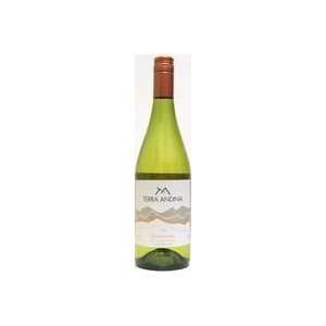  2008 Terra Andina Central Valley Chardonnay 750ml Grocery 