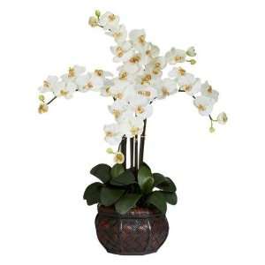 Exclusive By Nearly Natural Cream Phalaenopsis w/Decorative Vase Silk 