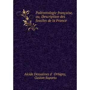   de la France Gaston Saporta Alcide Dessalines d  Orbigny Books