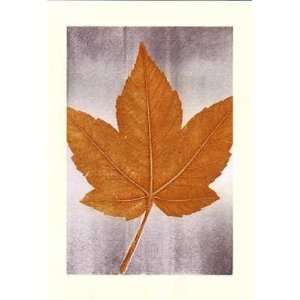  Oak Leaf III    Print