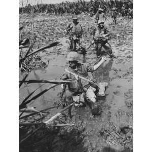  Marines Searching for Viet Cong in the Delta Photographic 