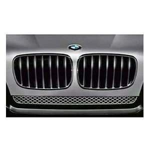 BMW Performance Black Kidney Grille / Right. E83 X3 (from 09/2006 2010 