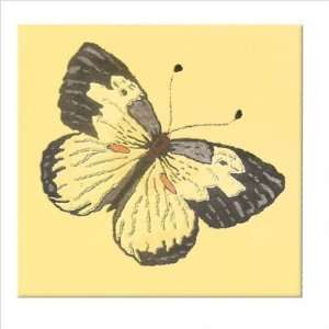  Butterfly Yellow / Black Kids Square Rug Size 26 x 26 