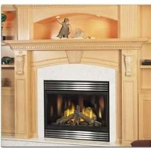   Electronic Ignition Direct Vent Natural Gas Fireplace